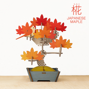 Play Plants Bonsai Puzzles - Cute Pocket Pick