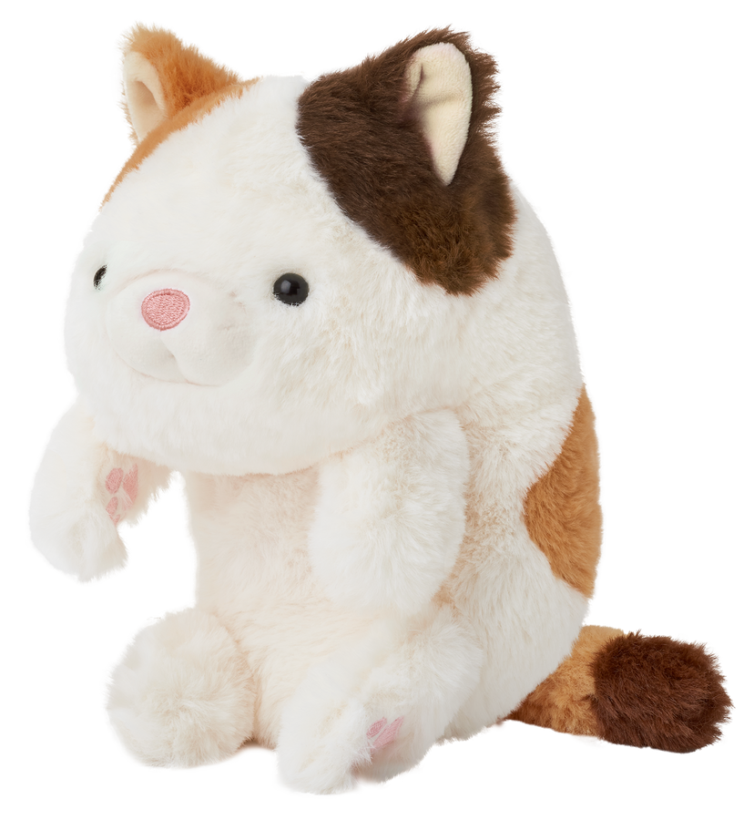 Posture Pal - Collector Daily Buddy