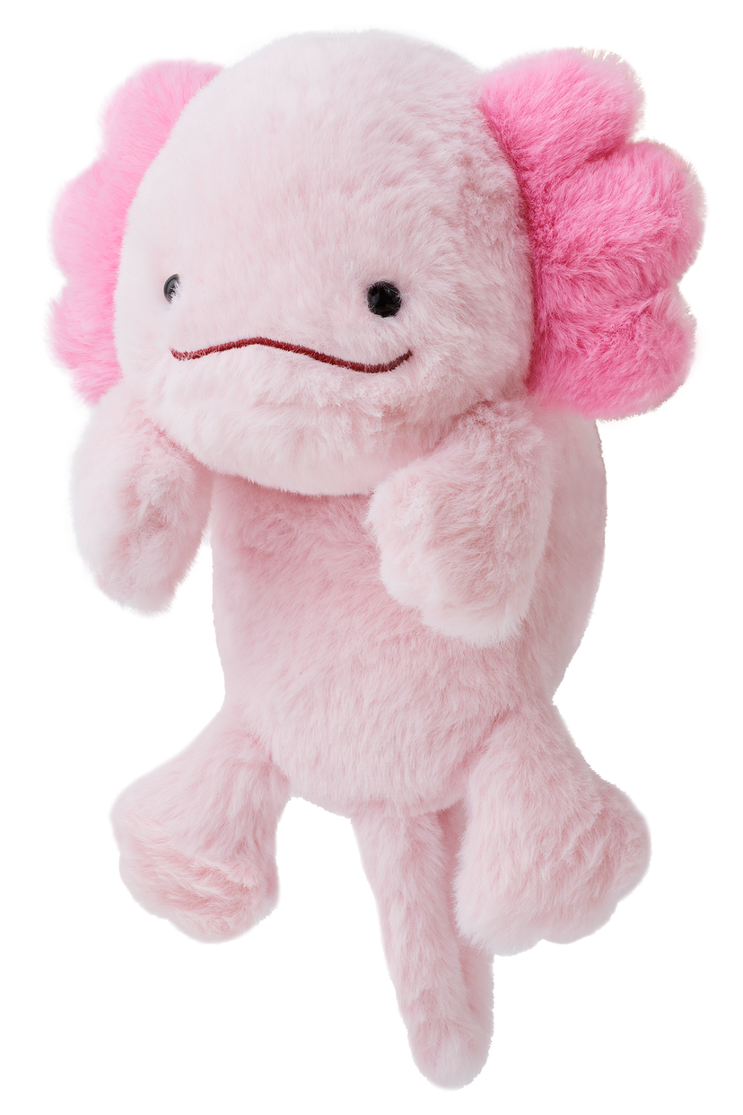Posture Pal - Collector Daily Buddy