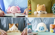 Posture Pal - Collector Daily Buddy