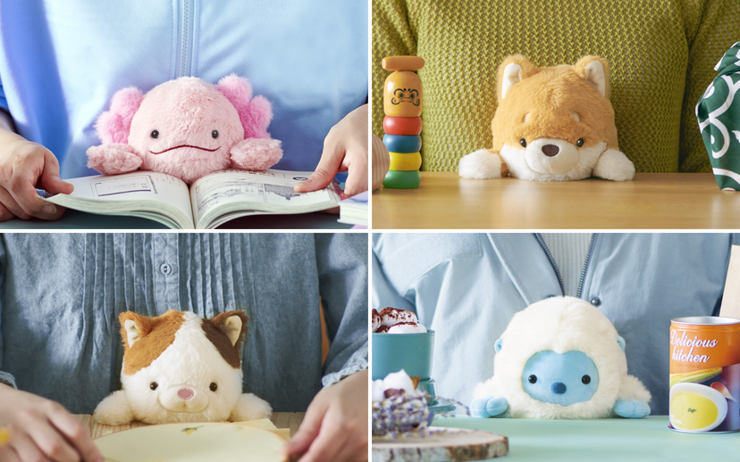 Posture Pal - Collector Daily Buddy