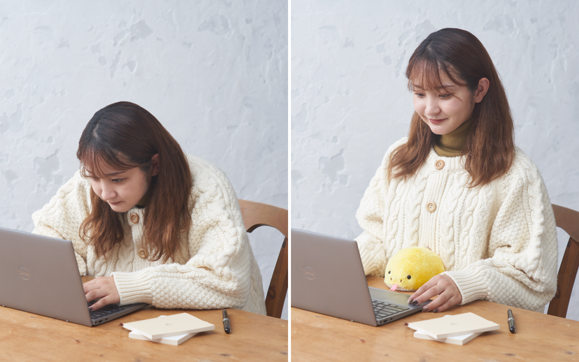 Posture Pal - Pocket Travel Accent