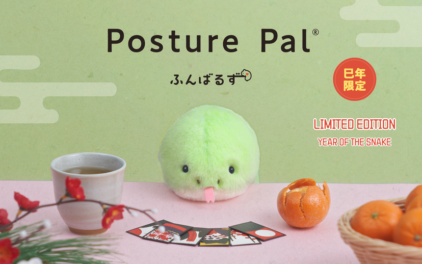 Posture Pal - Pocket Travel Accent