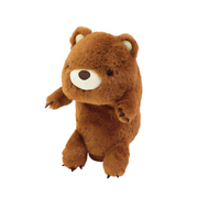 Posture Pal - Collector Daily Buddy