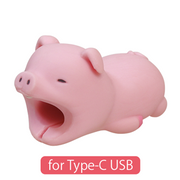 CABLE BITE for Type-C USB - Easy Pocket Choice