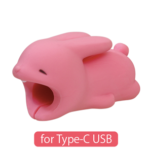 CABLE BITE for Type-C USB - Easy Pocket Choice